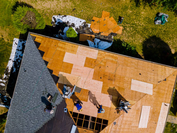 Best Roof Gutter Cleaning  in Austintown, OH
