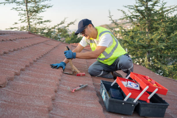 Best Metal Roofing Contractor  in Austintown, OH